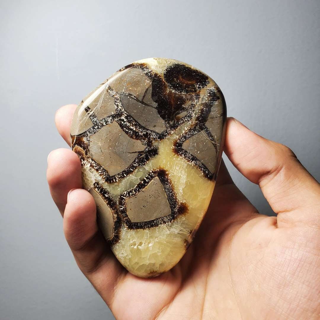 Septarian Slice Specimen, Polished Geode, Home Decor, Fossilized Calcite Stone
