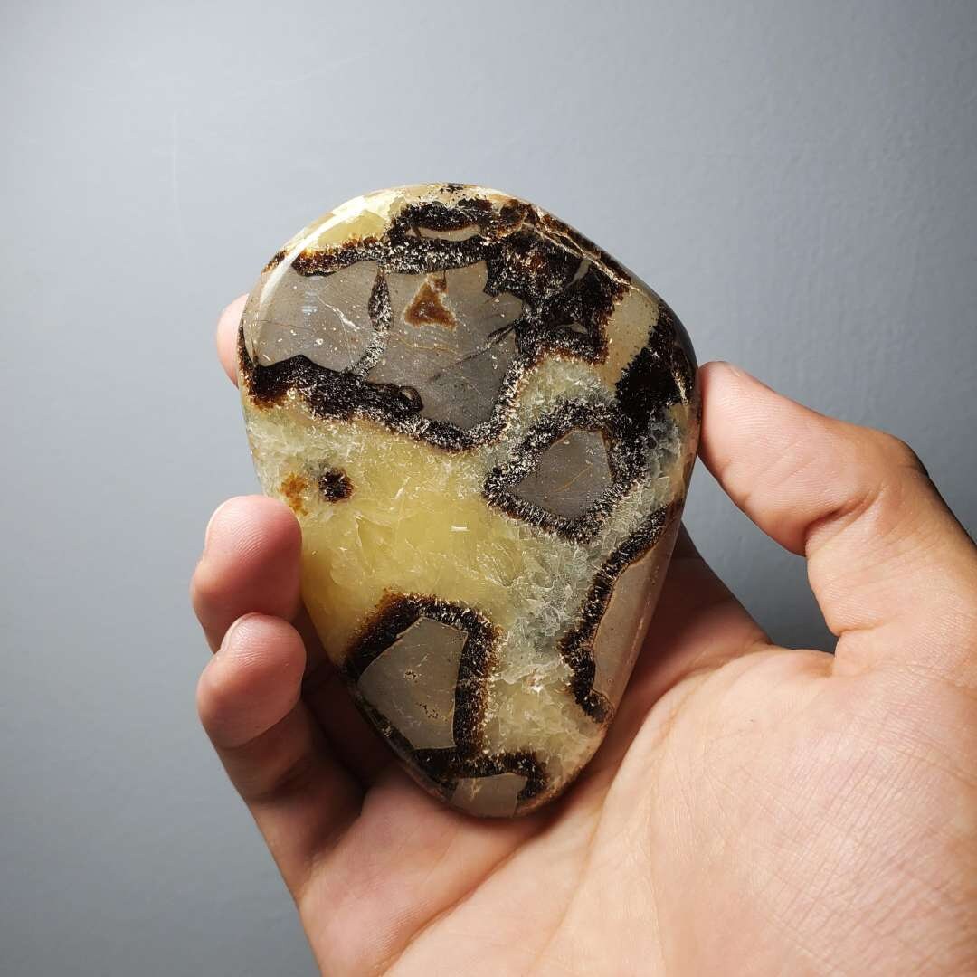 Septarian Slice Specimen, Polished Geode, Home Decor, Fossilized Calcite Stone